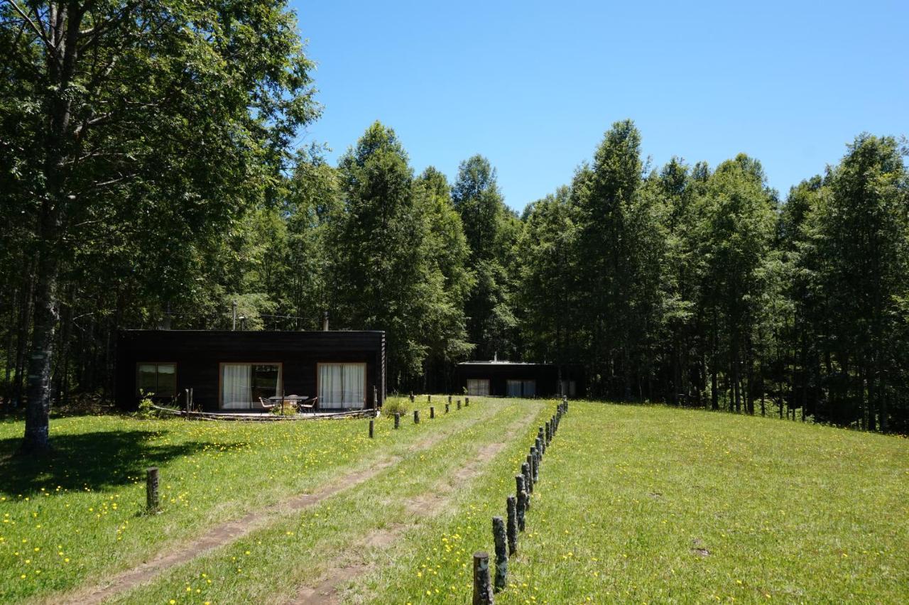 Cabanas Am Berg Pucón Eksteriør billede