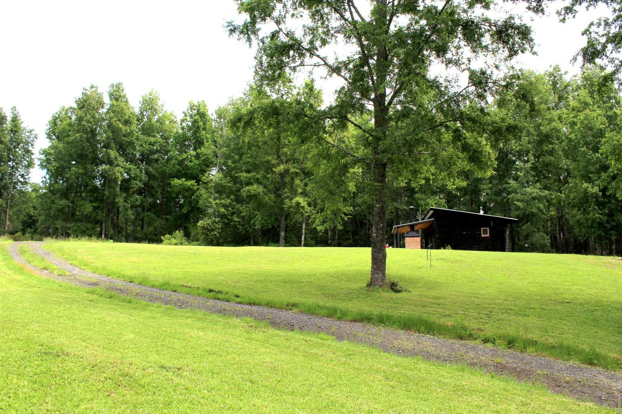 Cabanas Am Berg Pucón Eksteriør billede