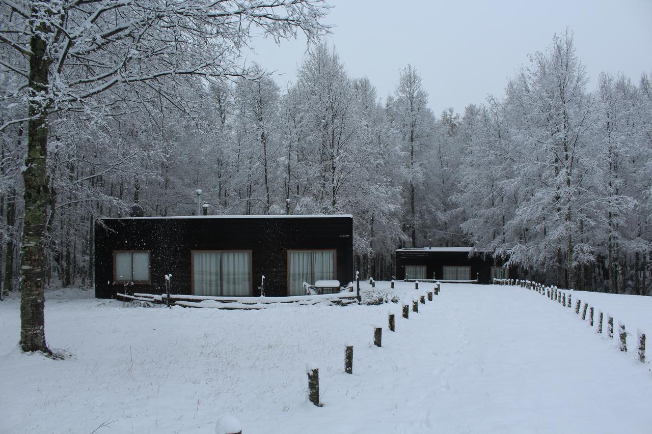 Cabanas Am Berg Pucón Eksteriør billede